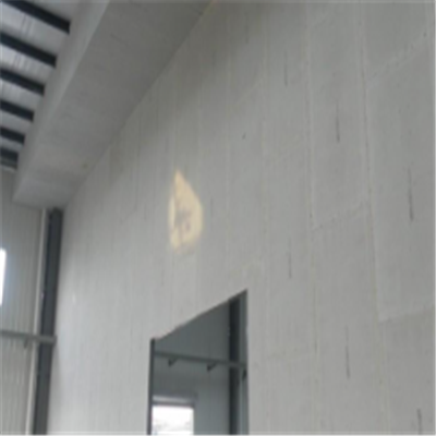 遵义宁波ALC板|EPS加气板隔墙与混凝土整浇联接的实验研讨